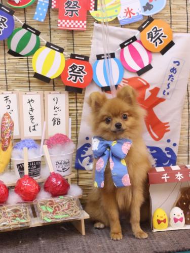 20240716ショコラちゃん